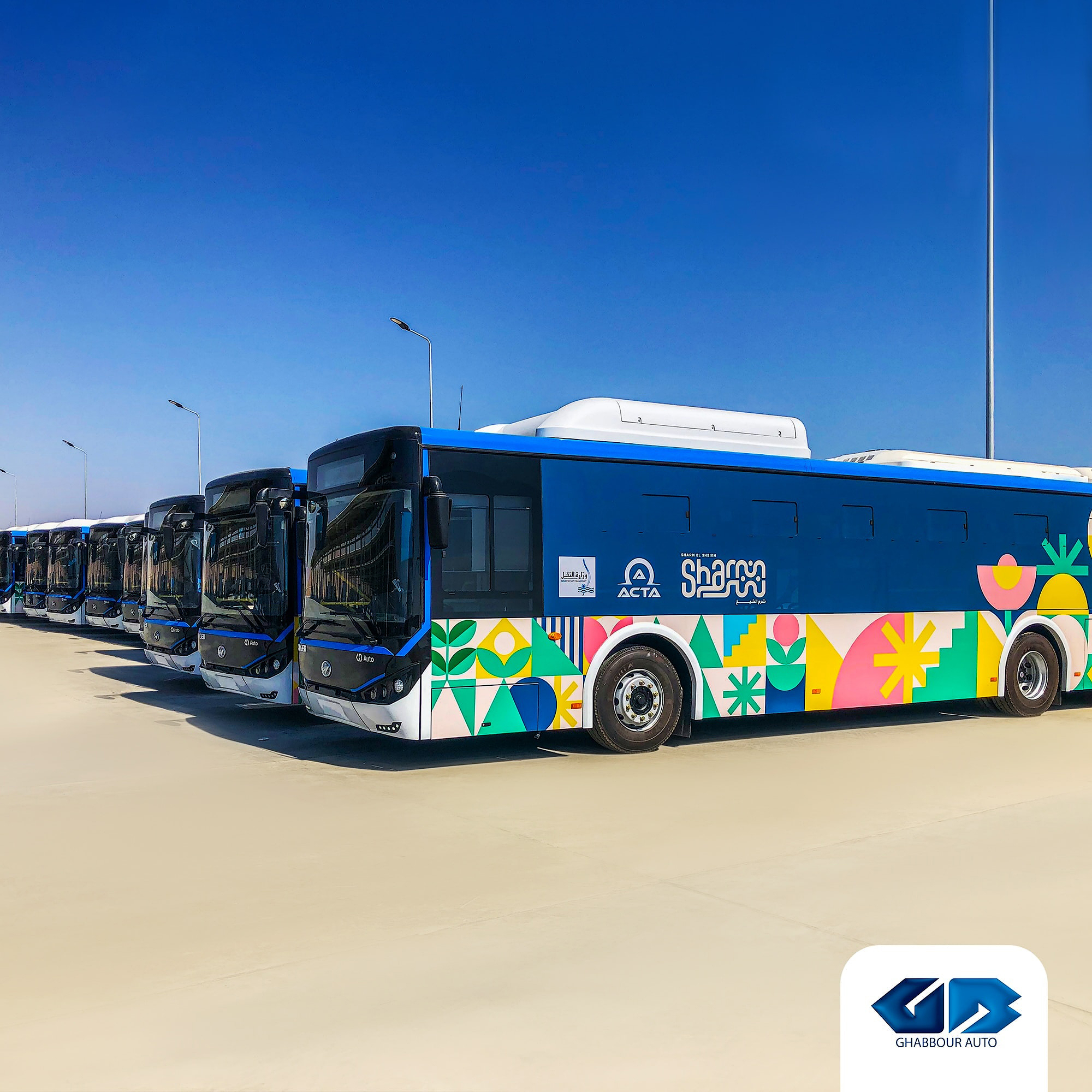 Higer Bus Company serves COP27 in Egypt with electric buses