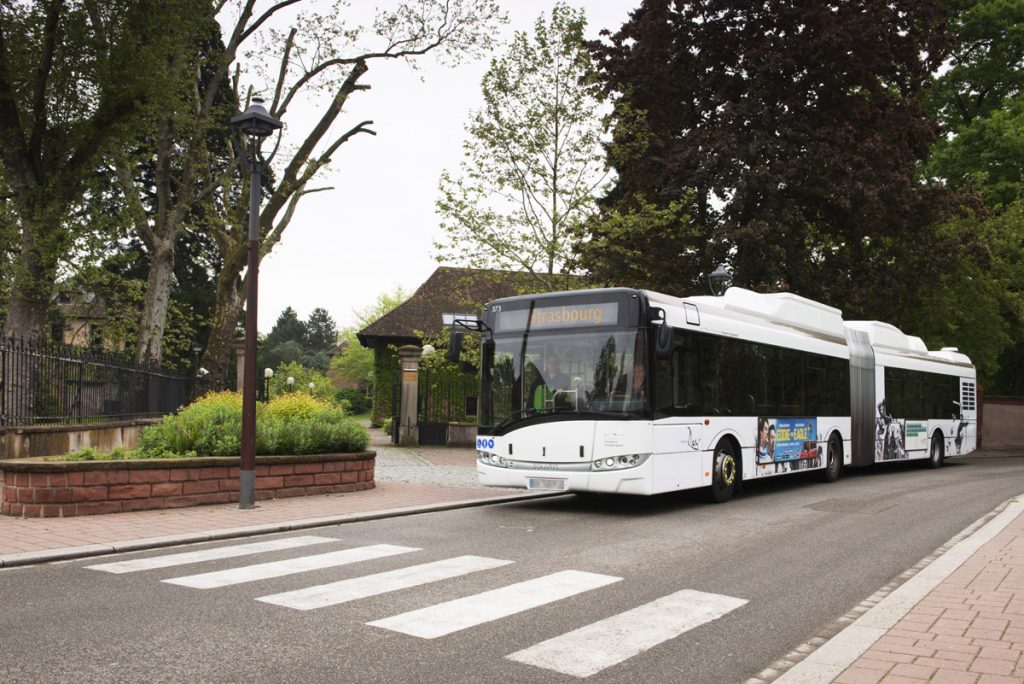 The Ebus Tender Week: Bulgaria, Italy, Strasbourg, Monheim, Romania, Lyon - Sustainable Bus