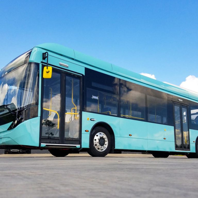 BYD ADL ready to ship 8 Enviro200EV to New Zealand - Sustainable Bus