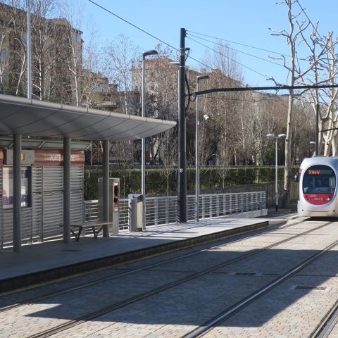 New tram lines in Florence by 2026 - Sustainable Bus